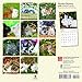 Honey Bunny 2018 7 x 7 Inch Monthly Mini Wall Calendar, Domestic Small Cute Animals