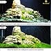 Luffy Create Beautiful Moss Wall Plant Net - Realistic Hang it on The Wall Plant Backdrop - Multifunctional and Easy to Install - Aesthetically Appealing Moss Floor - Makes Tank Cleaning Easy