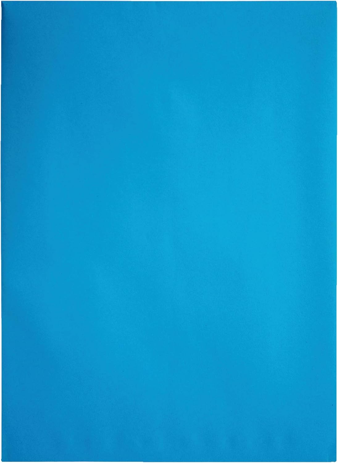 Quality Park Clasp Envelopes, 9 x 12 inches, Blue, Pack of 10 (38737) : Office Products