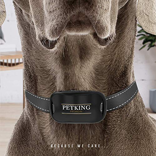 Anti Bark Collar for Small Large Dogs No Shock Bark Collars Dog Anti Barking Device Training Dog