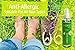 Organic Natural Shoe Deodorizer - Foot Spray - Running Shoe Spray - Spray for Shoes - Shoe Deodorizer - Shoes Deodorant - Odor Eliminator Spray - Smelly Feet - Sneaker Shields - Stinky Feet