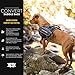 EzyDog Trail-Ready Saddle Bags for The Convert Dog Harness (Not Included) - Two Dog Backpacks with a Quick and Easy Attachment System - Superior Storage Capacity and Innovative Design (Large)