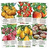 Seed Needs Multicolor Tomato Seed Packet Collection (6 Individual Packets) Non-GMO Seeds