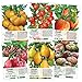 Seed Needs Multicolor Tomato Seed Packet Collection (6 Individual Packets) Non-GMO Seeds primary