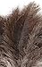 Avian Ostrich Feather Duster with Bamboo Handle