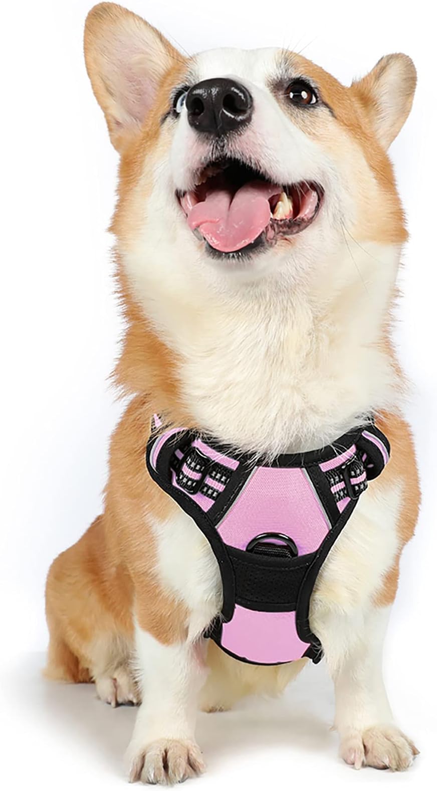 rabbitgoo Dog Harness Medium No Pull Front & Back Clips Reflective Pink