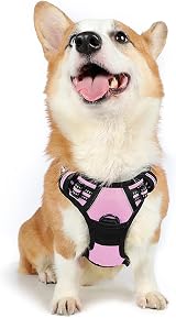 rabbitgoo Dog Harness Medium No Pull Front & Back Clips Reflective Pink