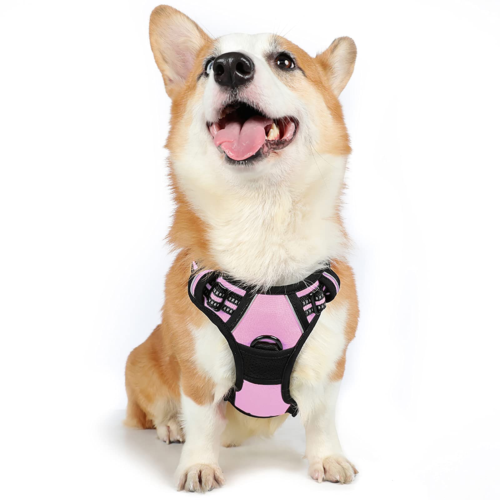 rabbitgoo Dog Harness Medium No Pull Pet Harness with 2 Leash Clips, Adjustable Soft Padded Pet Vest, Reflective No-Choke with Easy Control Handle for Training or Walking, Pink, M
