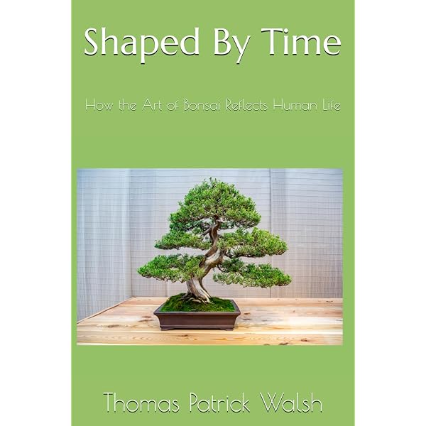 The Japanese of Stone Appreciation - Suiseki and Its Use with