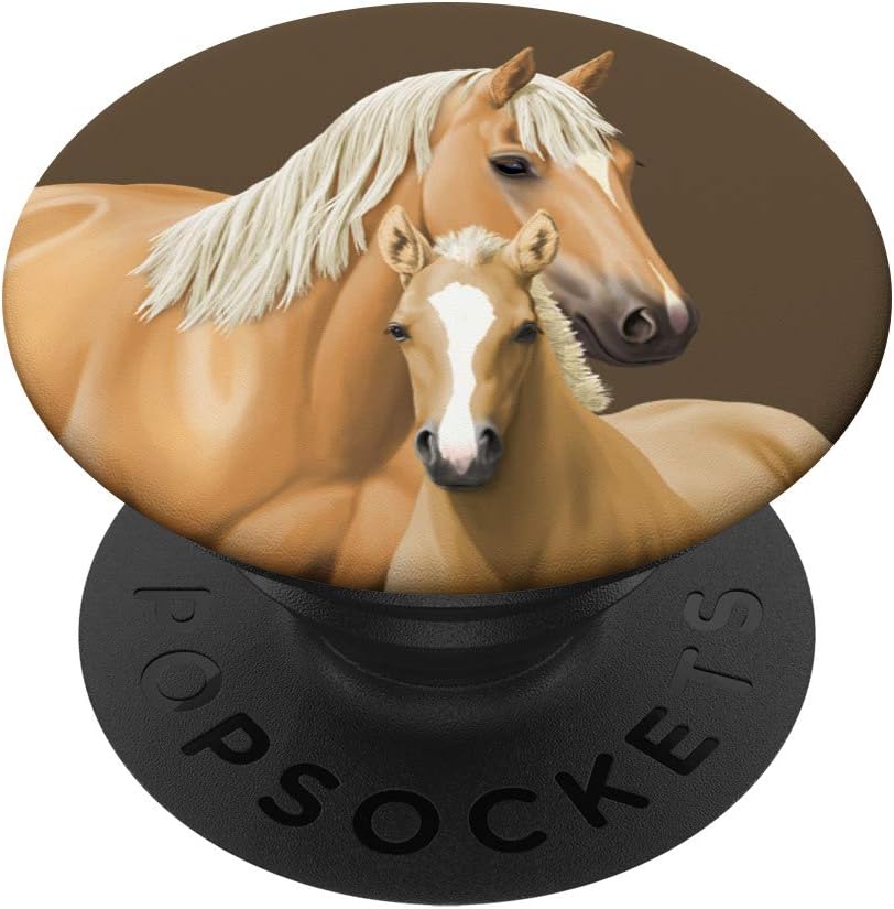 How much does a quarter horse foal cost