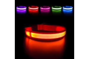 MASBRILL Light Up Dog Collar - LED, Rechargeable, Waterproof Glow Collar for Night Walking with Small, Medium, Large Dogs