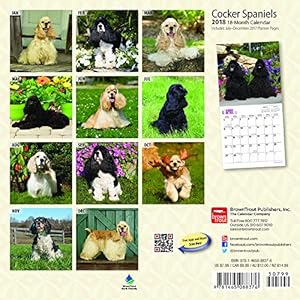 Cocker Spaniels 2018 7 x 7 Inch Monthly Mini Wall Calendar, Animals Mixed Dog Breeds