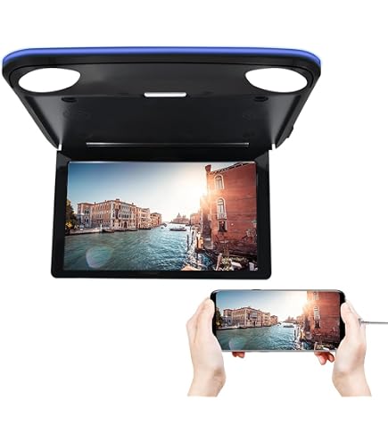 Amazon.com: Absolute DFL4008IRG 9.5-Inch TFT-LCD Overhead Flip