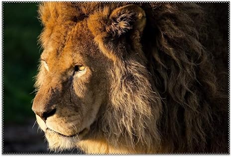 Amazon ランチョンマット 4枚入 北欧 美しいライオンたてがみ頭デザイン おしゃれ 撥水 滑り止め まとめ買い 家庭 レストラン 用 ランチョンマット オンライン通販