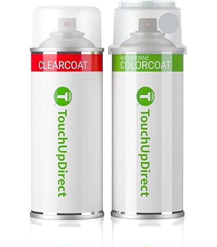 Amazon.com: Touch Up Express Paint for Toyota RAV4 4R4 Savannah