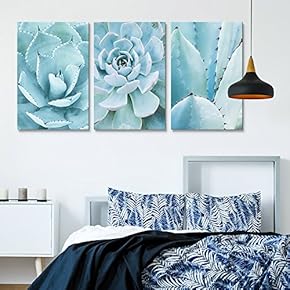 3 Panel Closeup of Blue Succulent Plants x 3 Panels