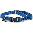 PetSafe KeepSafe Break-Away Collar, Prevent Collar Accidents for Your Dog or Puppy, Improve Safety, Compatible with Lead Use, Adjustable Sizes