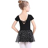 danswan Toddler Girls Long Sleeve Ballet Leotards Dance Dresses Tutu Outfit Ballerina with Glitter Skirt