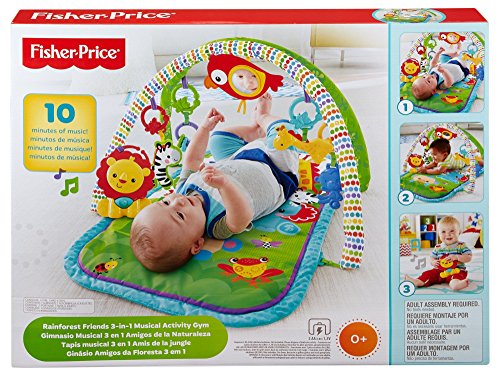 fisher price 3 in 1 activity gym