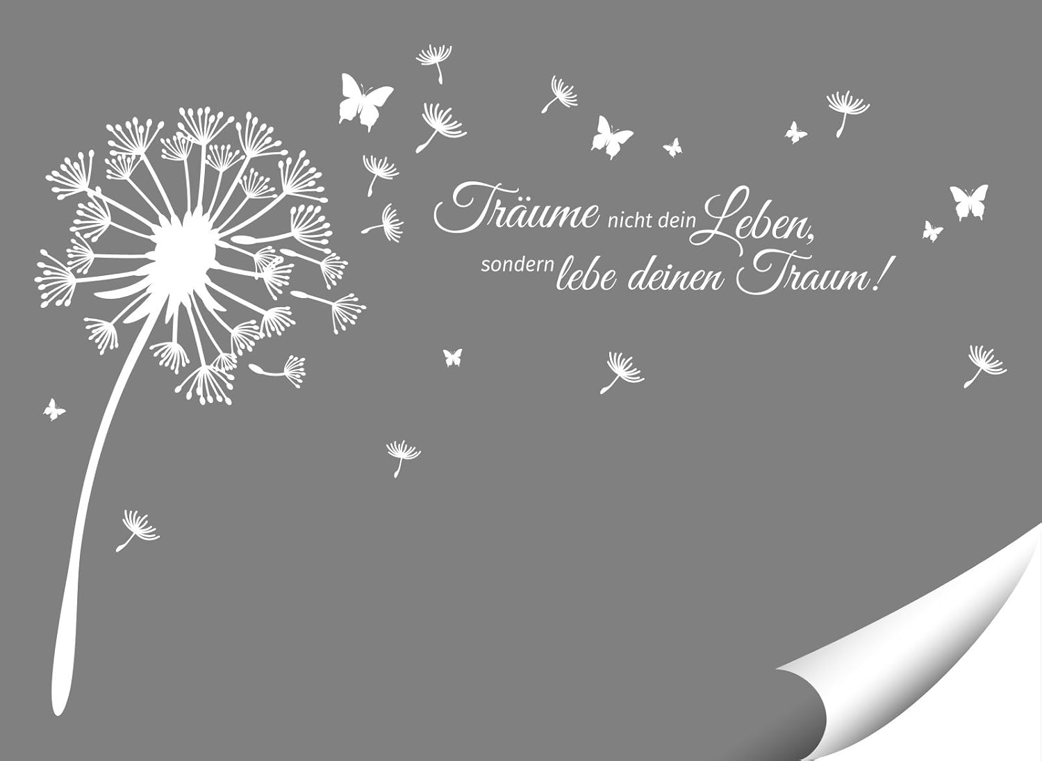 Download Sprueche englisch leben For iPhone Free Sprueche Englisch Leben