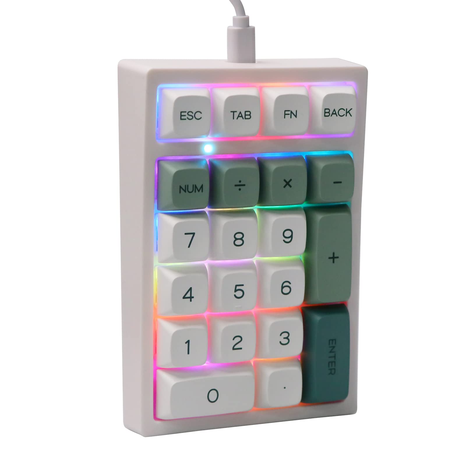 EPOMAKER TH21 21 Keys Hot Swappable Mechanical Gaming Numpad, 3 Modes(2.4Ghz/Bluetooth 5.0/Wired) Programmable RGB Numeric Keypad with PBT Keycaps for Win/Mac (Botanic Garden, Flamingo Switch)