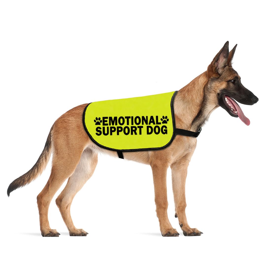 Emotional Support Dog Jacket Vest ESA Service Dogs Walking Slogan Warning Vest (Emotional Large)