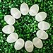 BestPysanky 12 White Plastic Easter Eggs