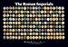Roman Emperors and Empresses Poster 33x23 [2016 Version]