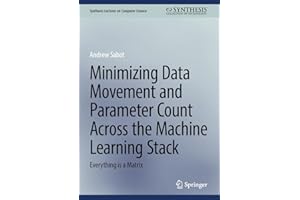Minimizing Data Movement and Parameter Count Across the Machine Learning Stack: Everything is a Matrix