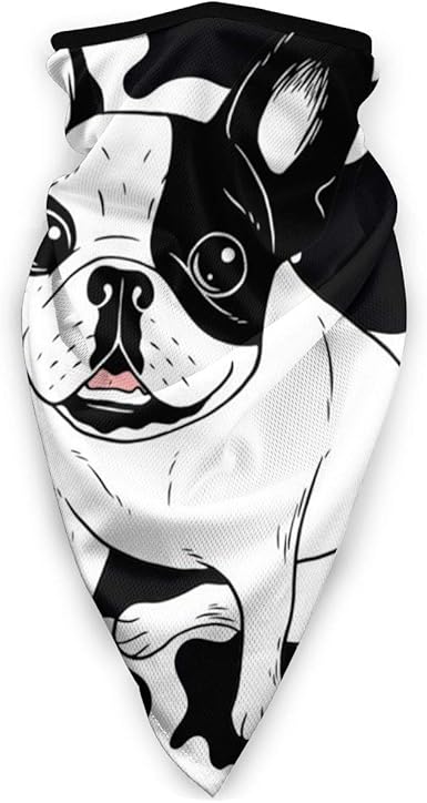 frenchie bandana