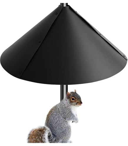 Déflecteur d'écureuil en acier galvanisé pour écureuils d'extérieur pour écureuils en plein air - Empêche le vol - 40,6 cm - Acier galvanisé - Pour mangeoire à oiseaux (accessoires de mangeoire de