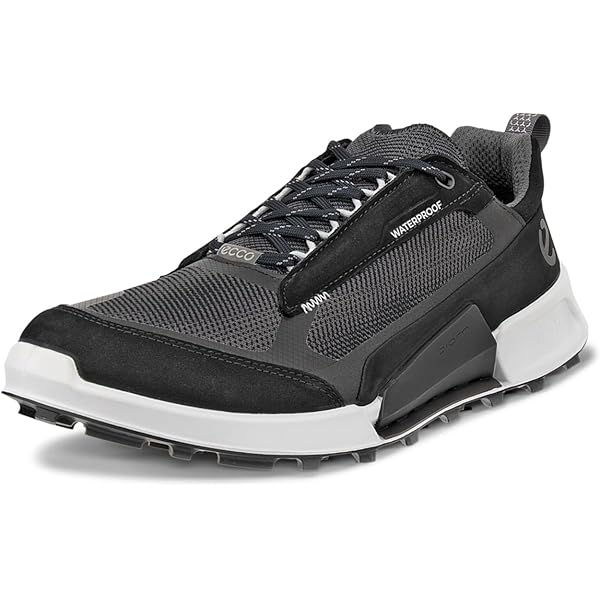 Amazon.com | ECCO Men display picture 1
