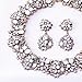 Jane Stone Fashion Gold Collar Necklaces Bling Rhinestone Jewelry Set for Women Girls(Fn1389-White)