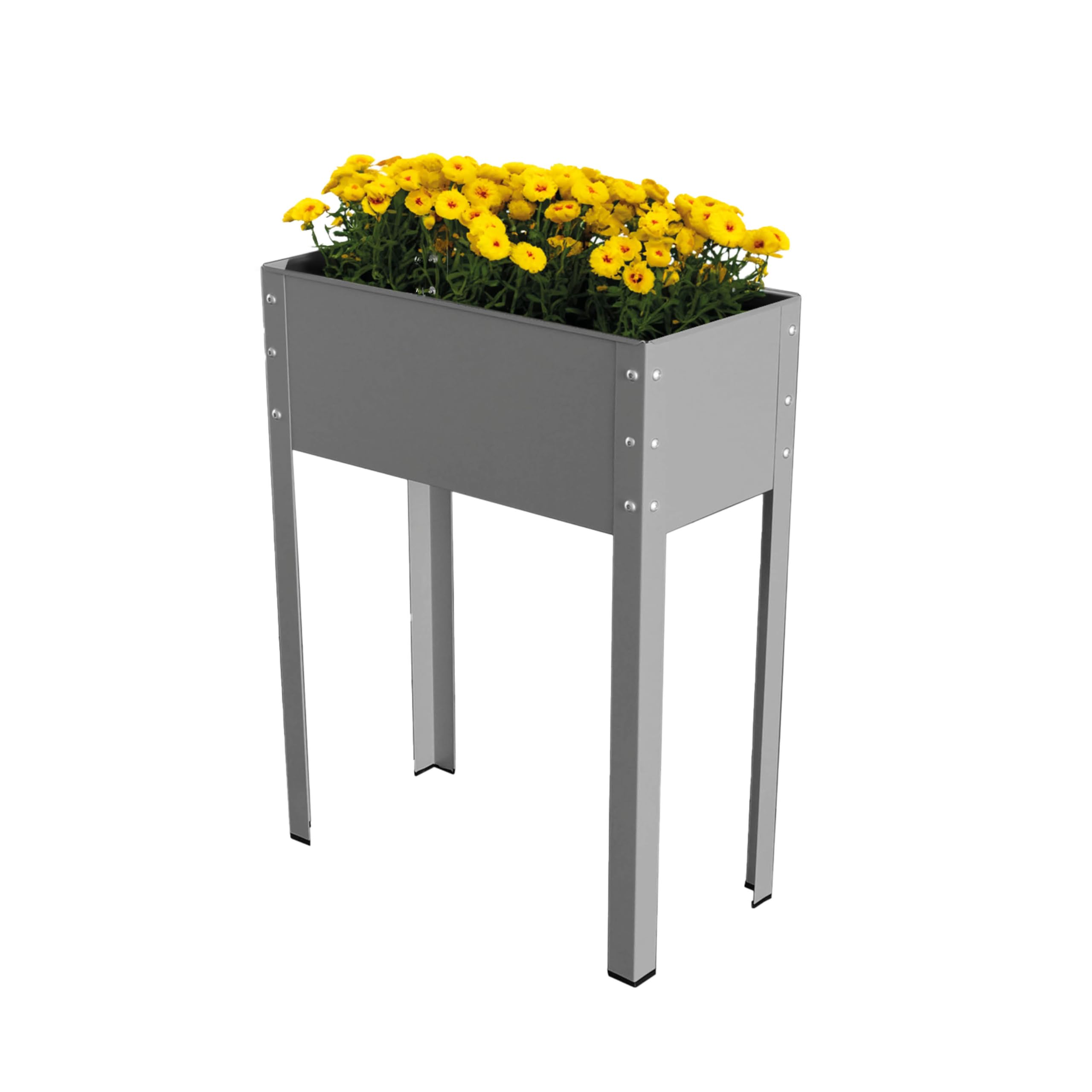 Bio Green - Freising Metal Raised Planting Bed - Grey - Small 60 x 30 x 80 cm - 1 Pack - Raised Garden Bed Elevated Planter Box