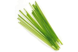 Glacial Art Glass Moss Green Trans COE 96 Stringer Sample - S-262-96 Oceanside Glass Stringer