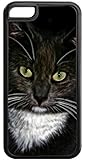 Cat with Green Eyes- Case for the Apple Iphone 5C- Hard Black Plastic Snap On Case with Soft Black Rubber Lining