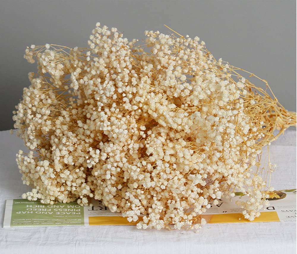 NatureMan Dried Flowers Baby's Breath Bouquet, 100% Natrual Gypsophila Long Lasting Flowers for Vase Arrangements Home Decoration Photo Props Parties and Weddings, DIY Décor (White)