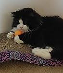 Review Image by Miss Peabodi Miss Peabodi