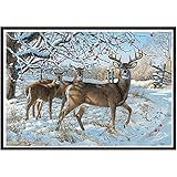 DIY 5D Diamond Painting by Number Kits , AMA(TM) Crystal Rhinestone Pasted Diamond Embroidery Cross Stitch Canvas Paintings Pictures Arts Craft for Home Wall Decor (D)