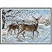 DIY 5D Diamond Painting by Number Kits , AMA(TM) Crystal Rhinestone Pasted Diamond Embroidery Cross Stitch Canvas Paintings Pictures Arts Craft for Home Wall Decor (D)