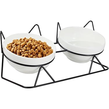 Amazon Best Sellers: Best Raised Cat Bowls