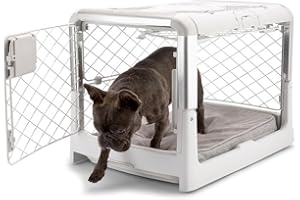 DIGGS Revol Collapsible Dog Crate with Wheels - Premium Portable Dog Crate - Safe, Stylish, and Convenient Indoor Kennel (Ash, Small)