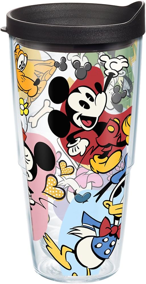 disney tervis