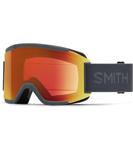 Amazon.com : Dragon Alliance PXV Asian fit Snow Goggle (Echo