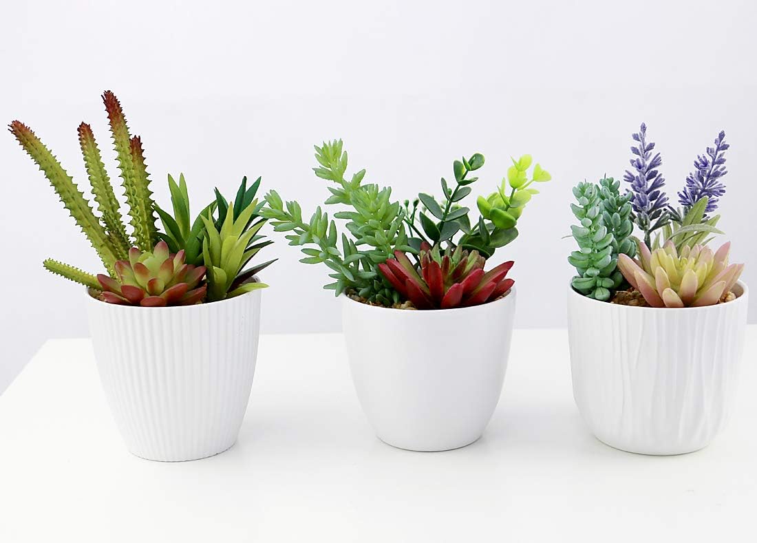 Omygarden Artificial Succulents with White Plastic Pots, Set of 3, Fake Plants Decoration for Home and Office