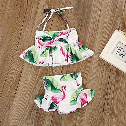 Baby Kids Toddler Girl Flamingo Halter Tops + Shorts Beachwear Swimwear Set (2T)