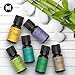Aromatherapy Oil Gift Set by Eve Hansen - 6 10ml Essential Oils (Lavender, Peppermint, Eucalyptus, Tea Tree, Lemon, and Sandalwood)