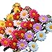 Polytree 8pcs Women's Fashion Boho Flower Headband Hairband