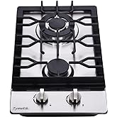 12 Inch Gas Cooktop, 2 Burners Stovetop Built-in Stainless Steel Stove Dual Fuel LPG/NG Convertible Hob for RVs, Apartments, Outdoor