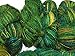 Knitsilk Premium Recycled Sari Silk Yarn - Ocean of Green Multicolour (120 Yards) - Eco Friendly Silk Sari Yarn